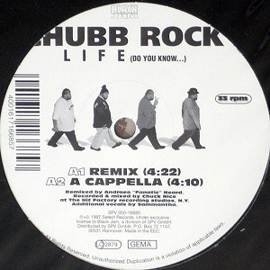 商品詳細 ： CHUBB ROCK(12) LIFE	