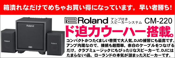 最終値下げ‼️Roland dj202 早い者勝ちスピーカー2本付き。 Roland DJ-202 - Serato DJ Hardware