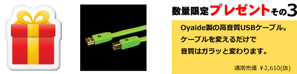 Oyaide Class B USB