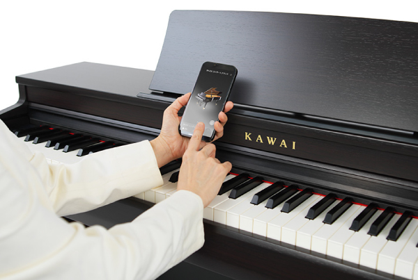 KAWAI CN201