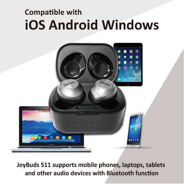 JoyBuds511