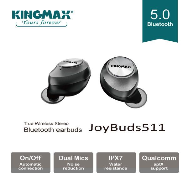 JoyBuds511