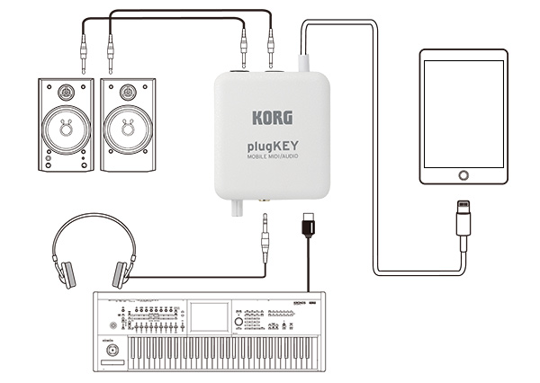 plugKEY ڑ