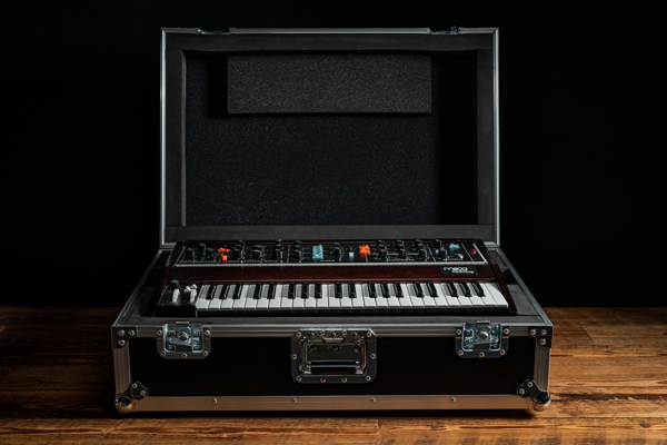 MINIMOOG MODEL D ATA ROAD CASE