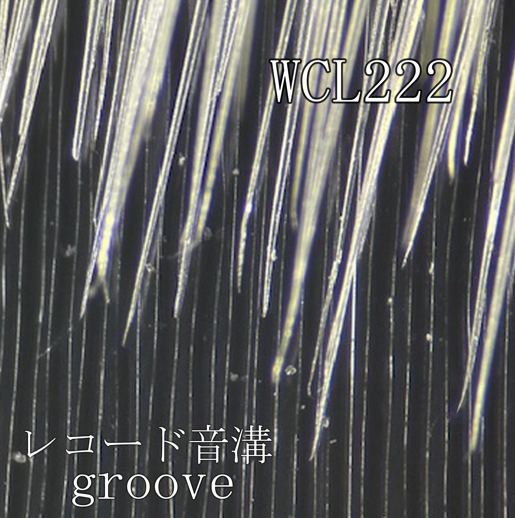 NAGAOKA WCL222