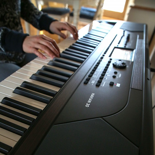 KORG HAVIAN 30