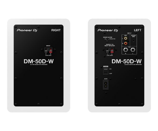 Pioneer DJ DM-50D