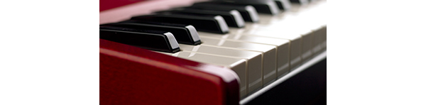 Nord Nord Electro 6D 61