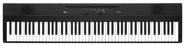 KORG Liano(L1SP)