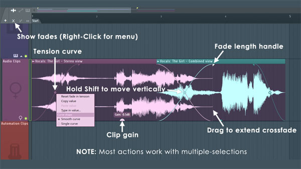 Image-Line FL STUDIO 21 Fruity