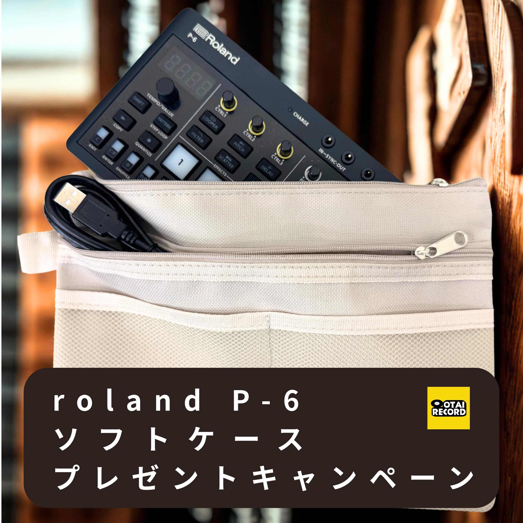 Roland P-6