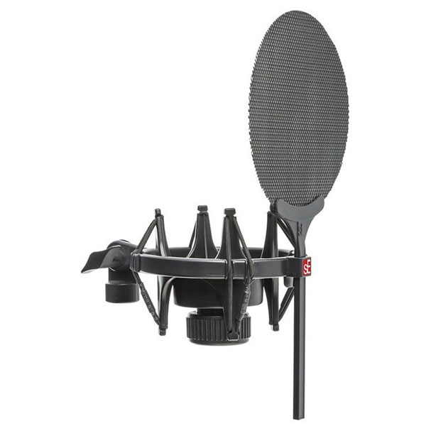 sE Electronics sE2200