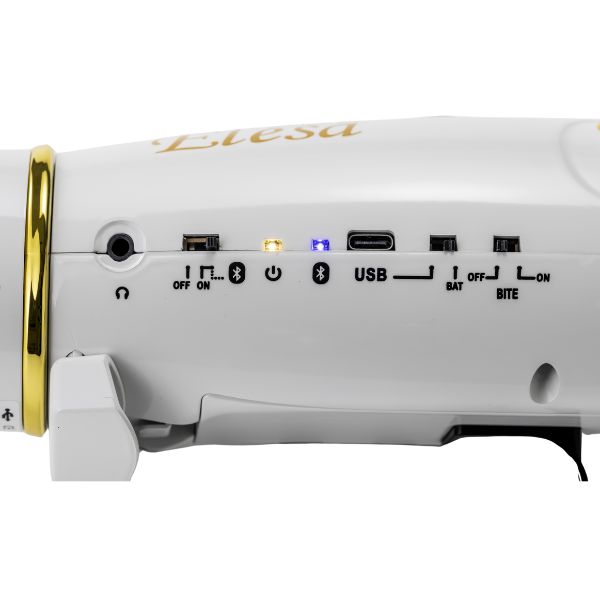 Elesa10