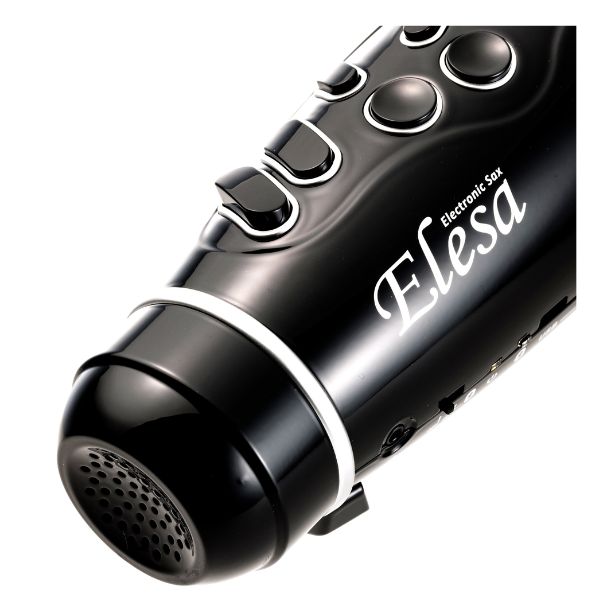 Elesa10
