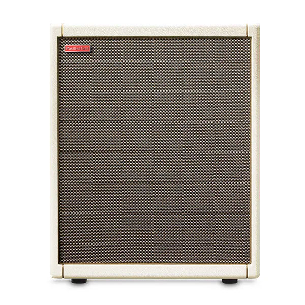 Positive Grid Spark CAB