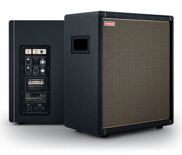 Positive Grid Spark CAB