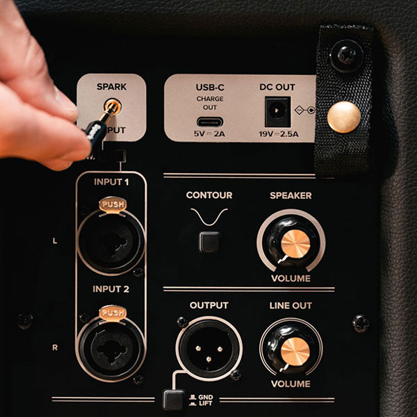 Positive Grid Spark CAB