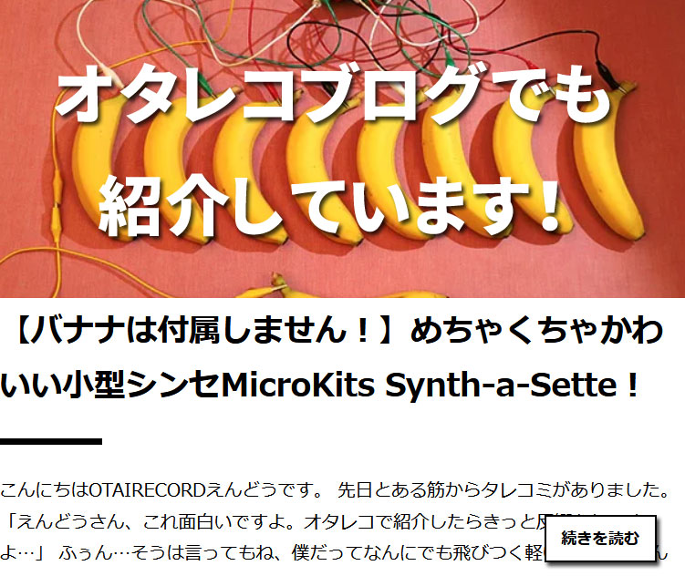 MicroKits Synth-a-Sette