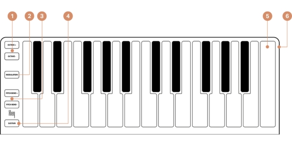 Xkey 37