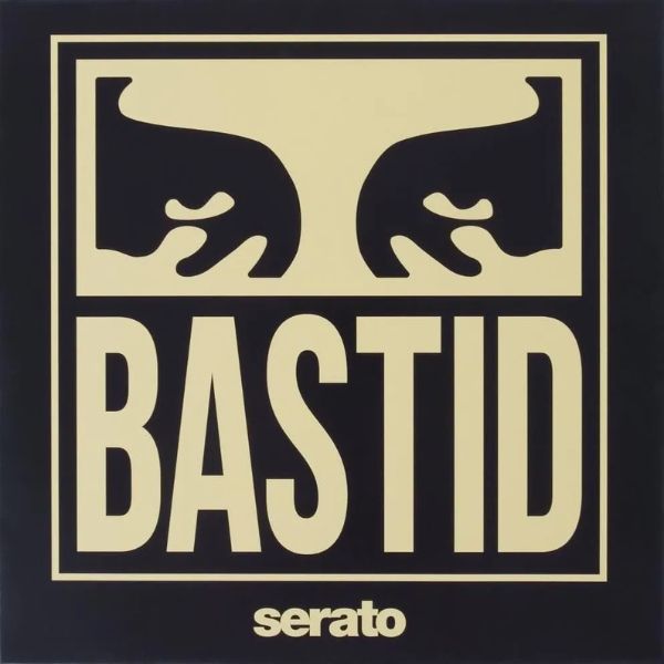 serato control vinyl