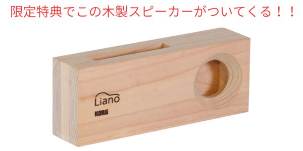 KORG/電子ピアノ/Liano LIVE!