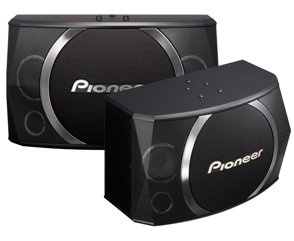 Pioneer CS-X080