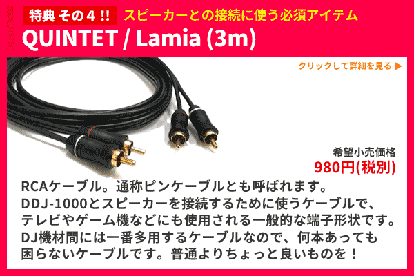 DDJ-1000SRT完璧DJスターティング10特典セット