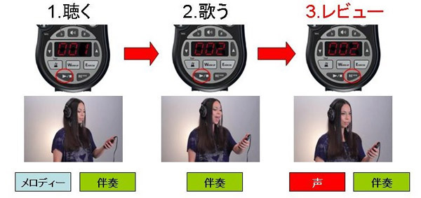 ROLAND (ローランド) ボーカル用チューナー VT-12-BK :20231012230337