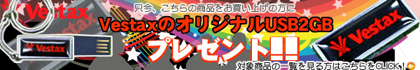 VestaxのオリジナルUSBプレゼント！！