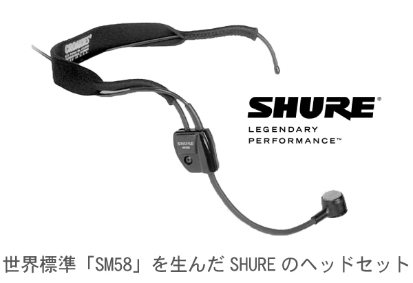 SHURE WH20