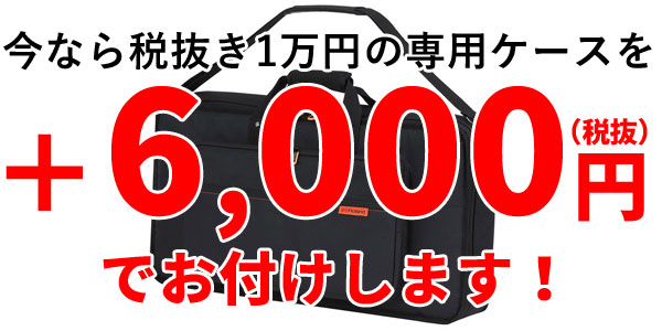 Roland GAIA 2