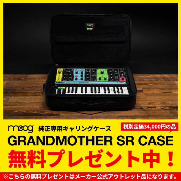 専用キャリングケース無料プレゼント！